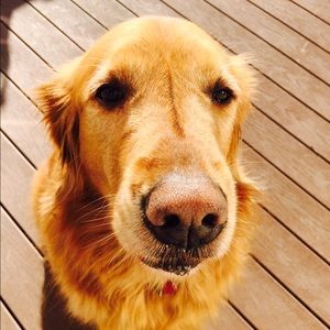 Meet your Posher, Kaitlin