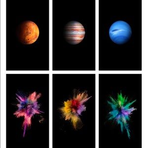 Meet your Posher, Sylvia