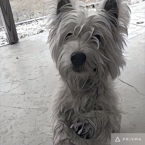 Meet your Posher, Byrom