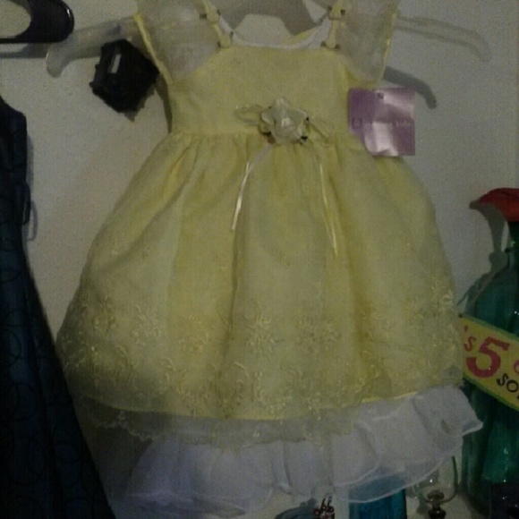 Baby flower girl dress