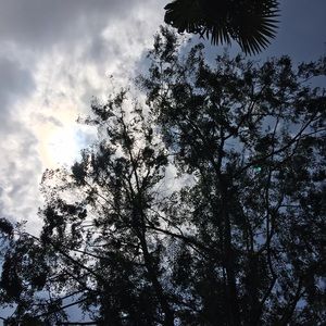 Meet your Posher, Hillary