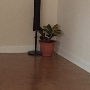 Meet your Posher, Trisha