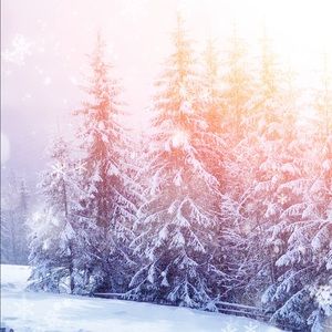 Meet your Posher, Autumn