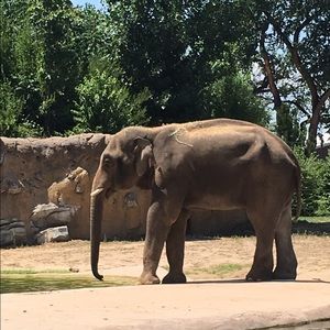 Meet your Posher, Molly