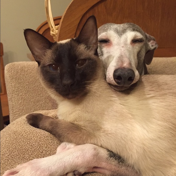 Meet your Posher, Laura - Picture 2 of 4