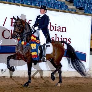 Meet your Posher, Shian rae