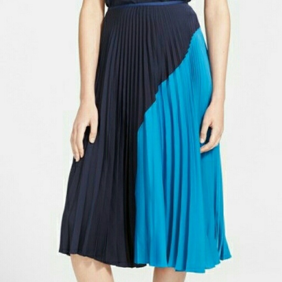 Theory 'Zeyn' Colorblock Pleated Georgette Midi Sk - Picture 2 of 2