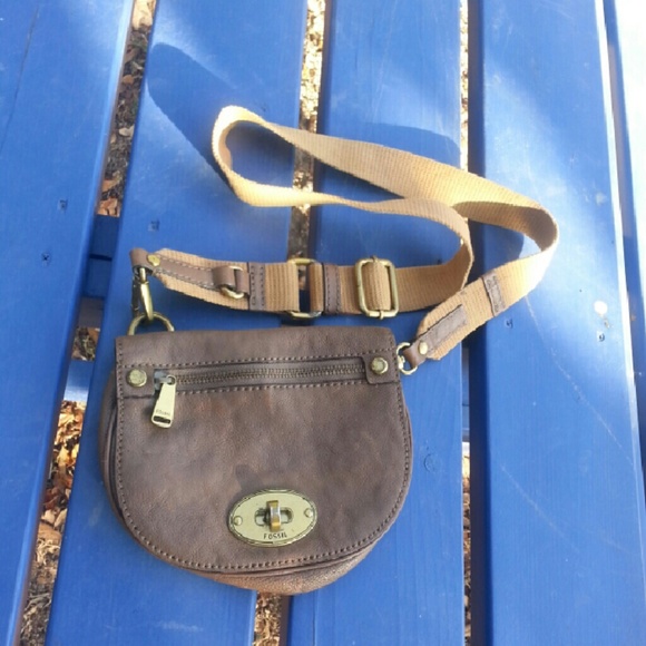 Fossil purse