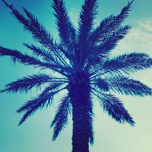 Meet your Posher, Jacqueline