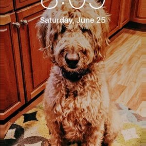 Meet your Posher, Madison