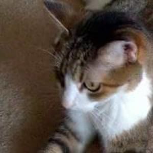 Meet your Posher, Kerry