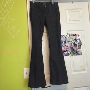 Fierce flare pants from loft