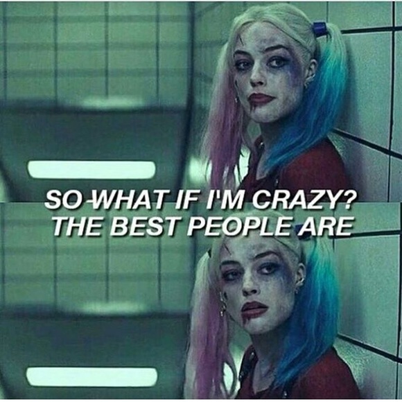 Meet your Posher, Riley - Picture 1 of 1