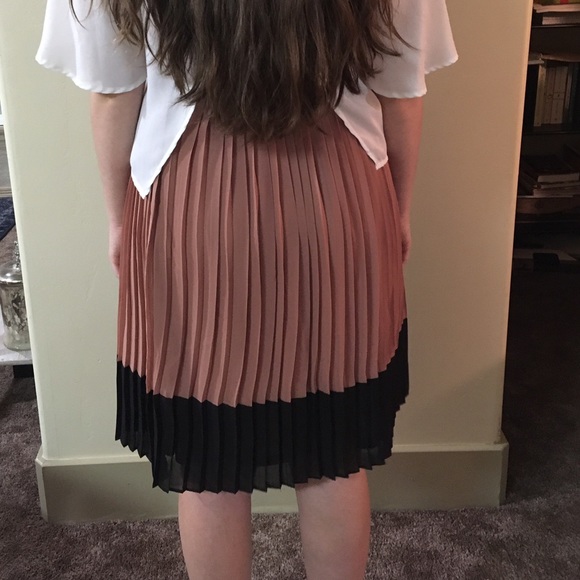 Black and Tan Pleated Skirt - Picture 3 of 3