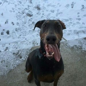 Meet your Posher, Cassie