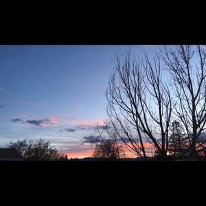 Meet your Posher, Dylan