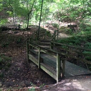 Meet your Posher, Camilla