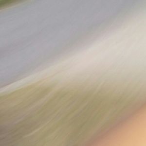 Meet your Posher, Shaquille