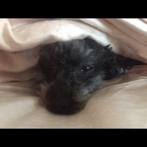 Meet your Posher, Angela