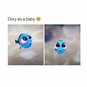 Meet your Posher, Melonie