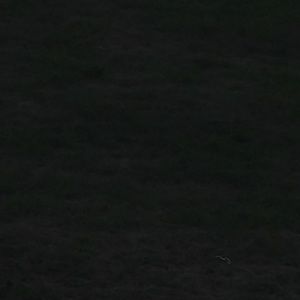 Meet your Posher, Dannie