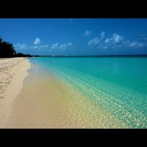 Meet your Posher, Tony