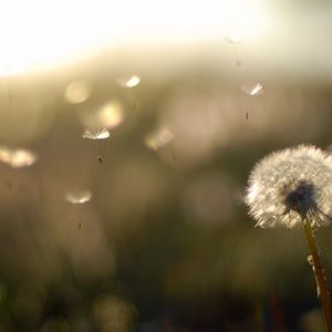 Meet your Posher, Meta