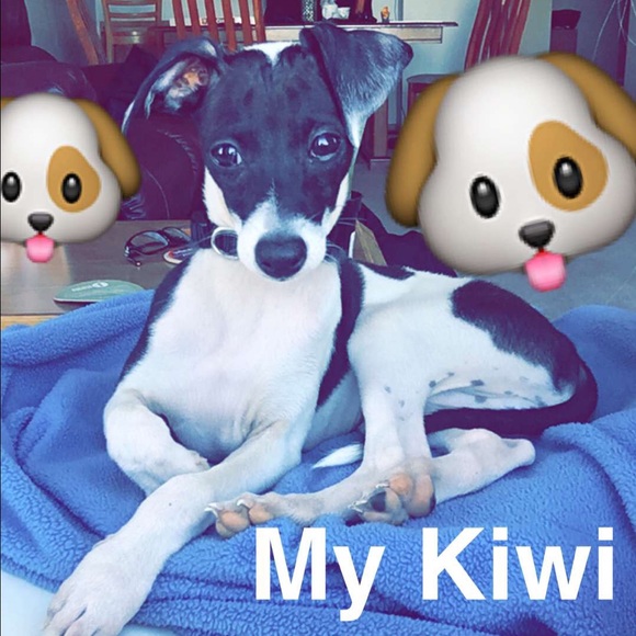 Meet The Posher - Picture 2 of 4