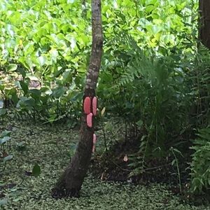 Meet your Posher, Paris