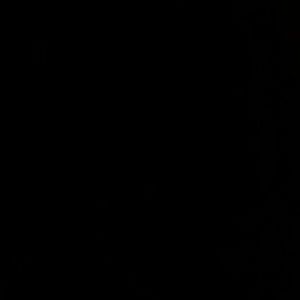 Meet your Posher, Itzel