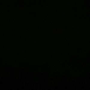 Meet your Posher, Mia