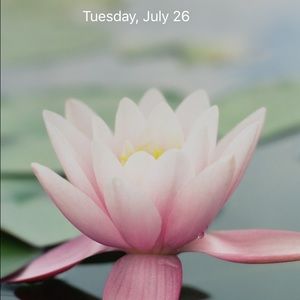 Meet your Posher, Alli