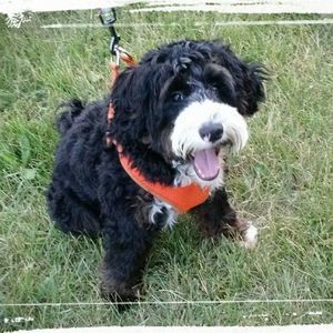 Meet your Posher, Nancy