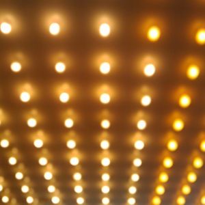 Meet your Posher, Veronica