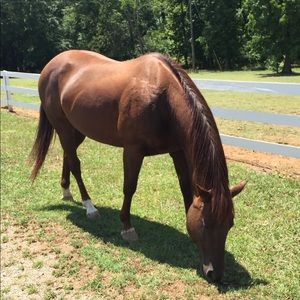 Meet your Posher, Karen