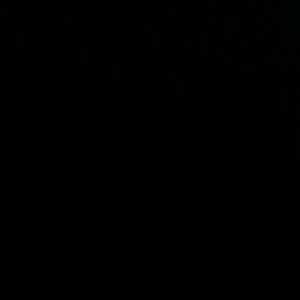 Meet your Posher, Bob