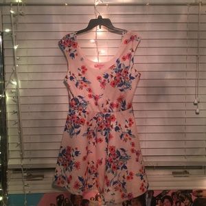 Floral Pastel Pink Skater Dress