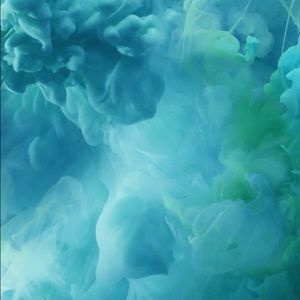 Meet your Posher, Yvette