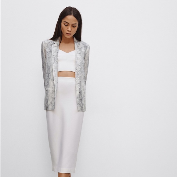 Babaton Grayson jacket Aritzia