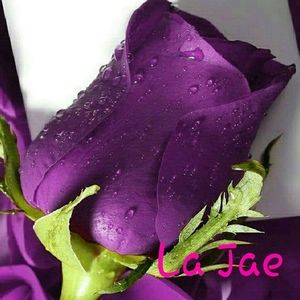 Meet your Posher, Janie