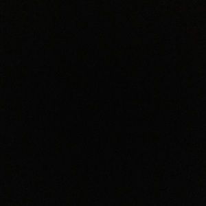 Meet your Posher, Celia