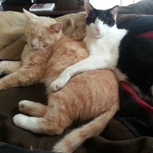 Meet your Posher, Danelle