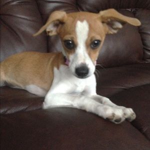 Meet your Posher, Jaime