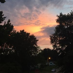 Meet your Posher, Isaiah