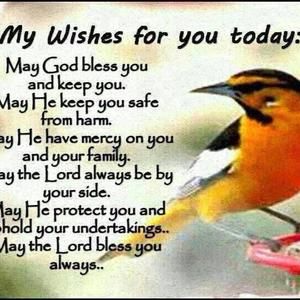 Meet your Posher, Abigail