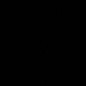 Meet your Posher, Tiffini