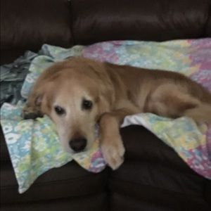 Meet your Posher, Karyn