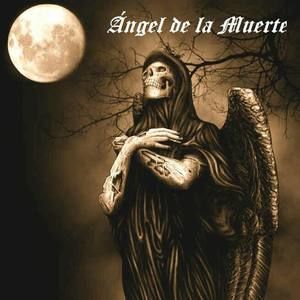 Meet your Posher, Diego