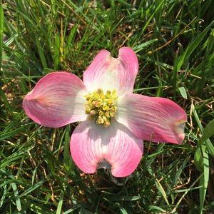 Meet your Posher, Madelyn