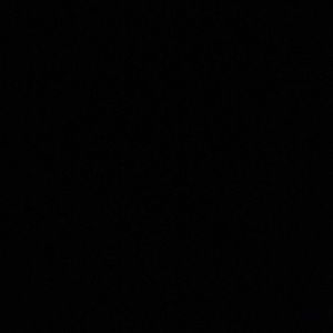 Meet your Posher, Whitney